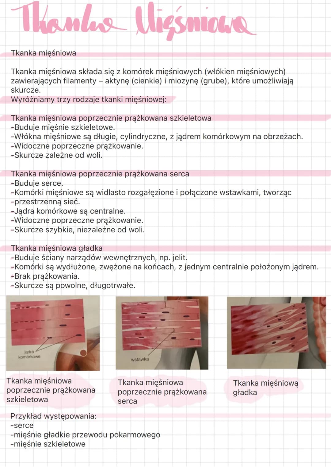 # Thanha Nablighawa
1. Budowa
Komórki nabłonkowe ściśle do siebie przylegają, tworząc zwartą warstwę.
Brak naczyń krwionośnych - substancj