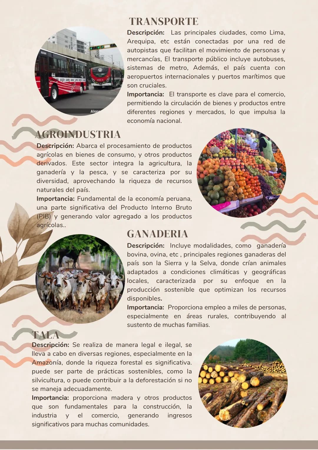 # Actividades económicas que se desarrollan
EN EL PERU
AGRICULTURA
Descripción: La agricultura es un sector clave en la
economía peruana,