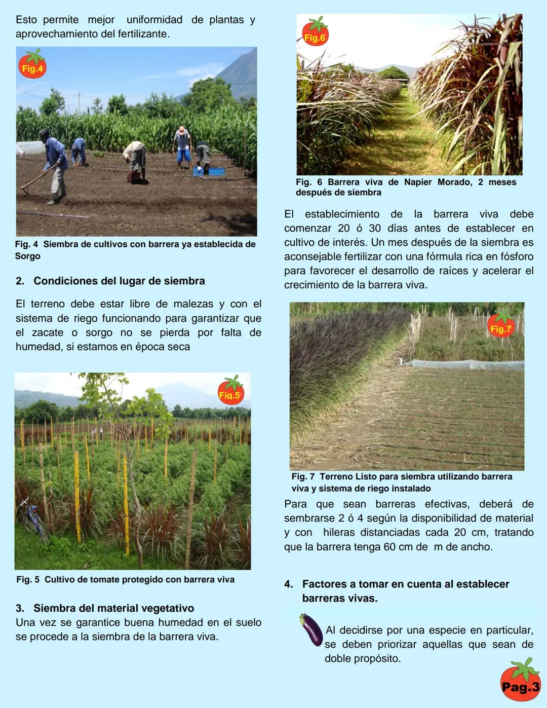 ORIENTAL
JICA
MAGRICULTURA
FAMILIAR
OCENTIA
Cembo Nacional
Agropecuales y Fredd
Alvires Condens
Ministerio de Agricultura
y Ganadería (MAG)