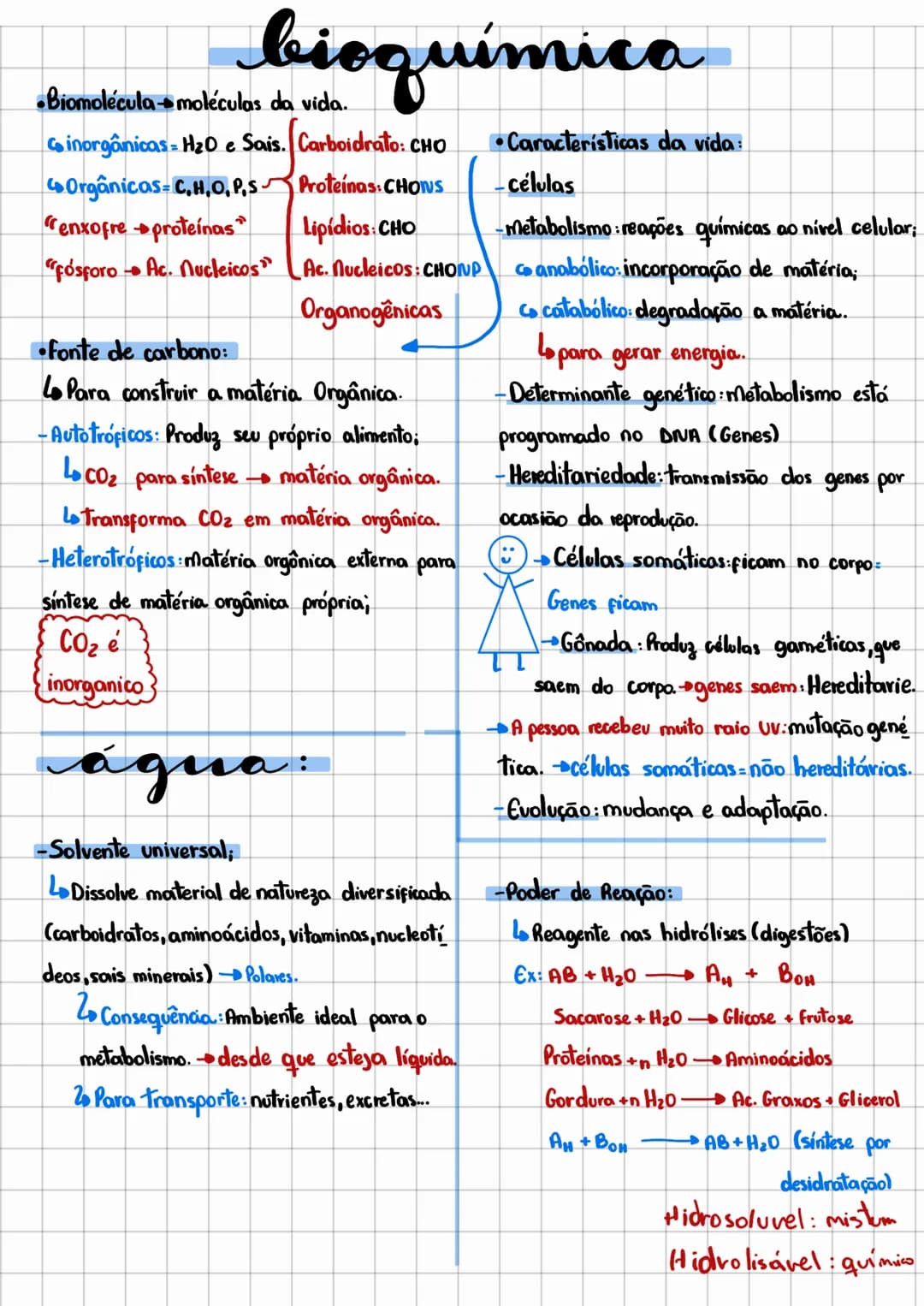 bioquímica
•Características da vida:
•Biomolécula moléculas da vida.
Cinorgânicas = H2O e Sais. Carboidrato: CHO
Orgânicas C,H,O,P,S
Proteín
