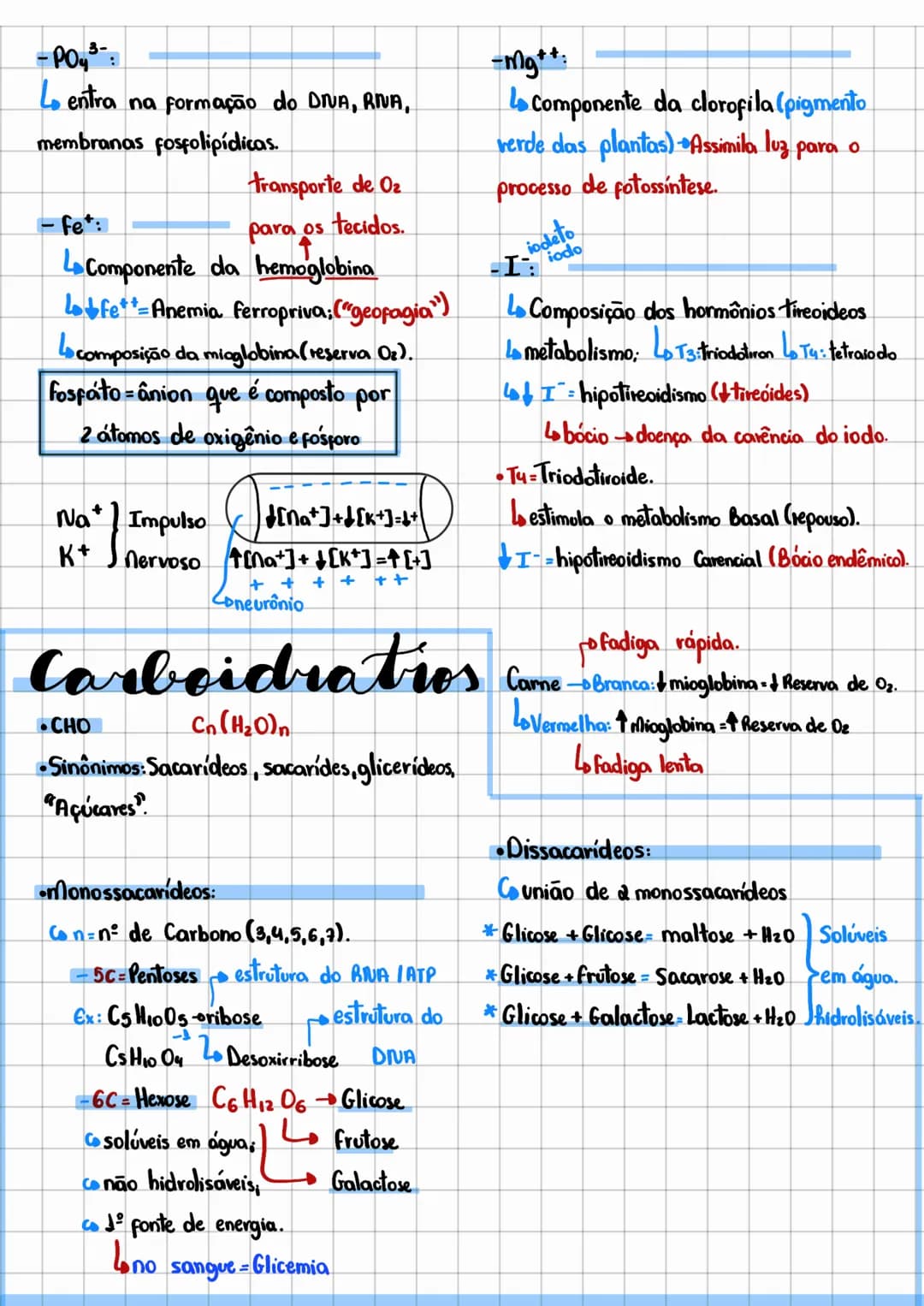 bioquímica
•Características da vida:
•Biomolécula moléculas da vida.
Cinorgânicas = H2O e Sais. Carboidrato: CHO
Orgânicas C,H,O,P,S
Proteín