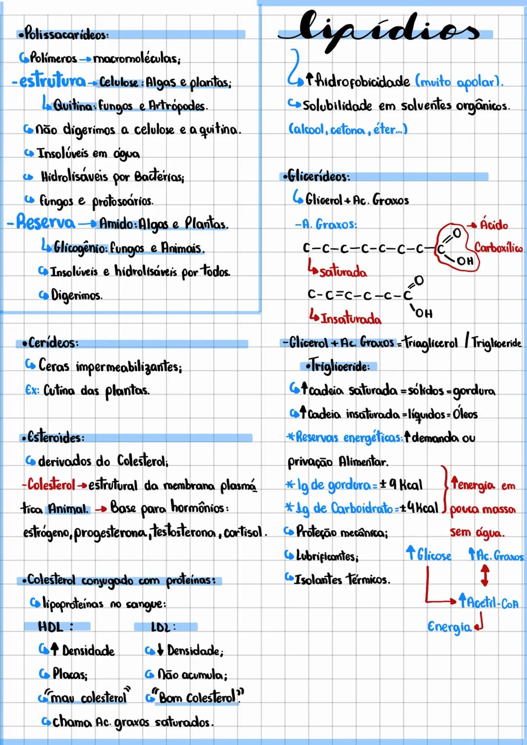 bioquímica
•Características da vida:
•Biomolécula moléculas da vida.
Cinorgânicas = H2O e Sais. Carboidrato: CHO
Orgânicas C,H,O,P,S
Proteín