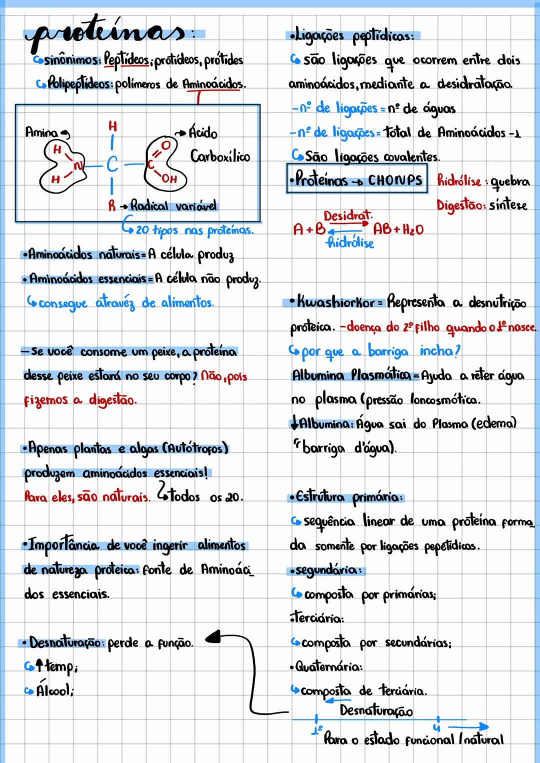 bioquímica
•Características da vida:
•Biomolécula moléculas da vida.
Cinorgânicas = H2O e Sais. Carboidrato: CHO
Orgânicas C,H,O,P,S
Proteín