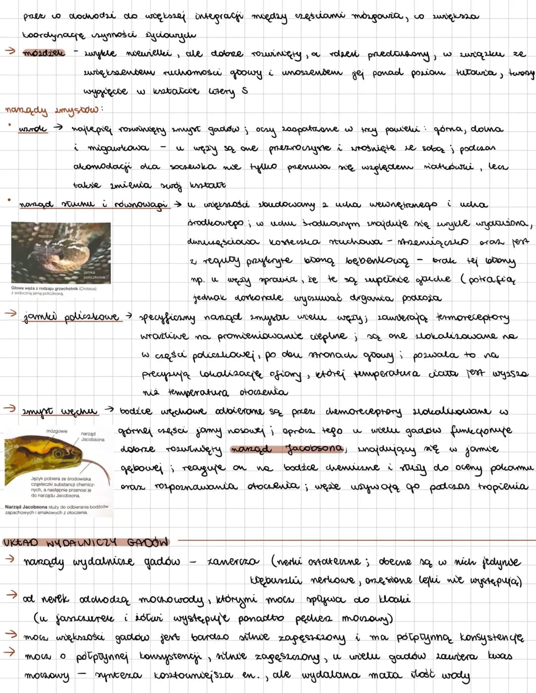 # GADY
zwierzęta zmiennocieplne; pierwsza grupa kręgowców prystosowana do igdu (wiele
gatunków wtórnie zaadaptowały wę do środowiska wodneg