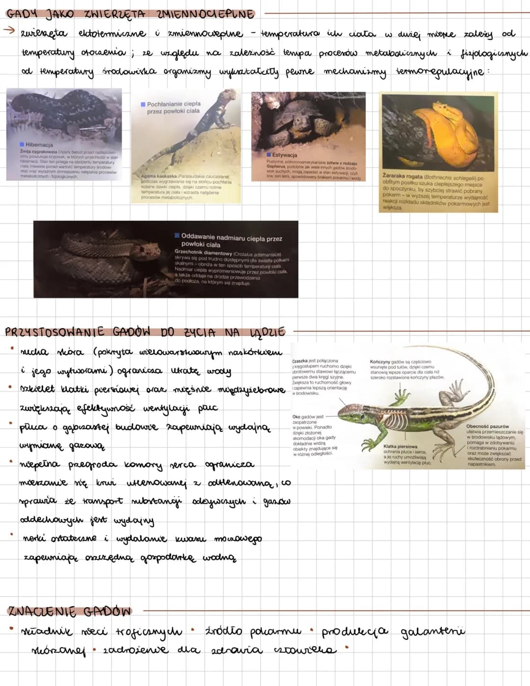 # GADY
zwierzęta zmiennocieplne; pierwsza grupa kręgowców prystosowana do igdu (wiele
gatunków wtórnie zaadaptowały wę do środowiska wodneg