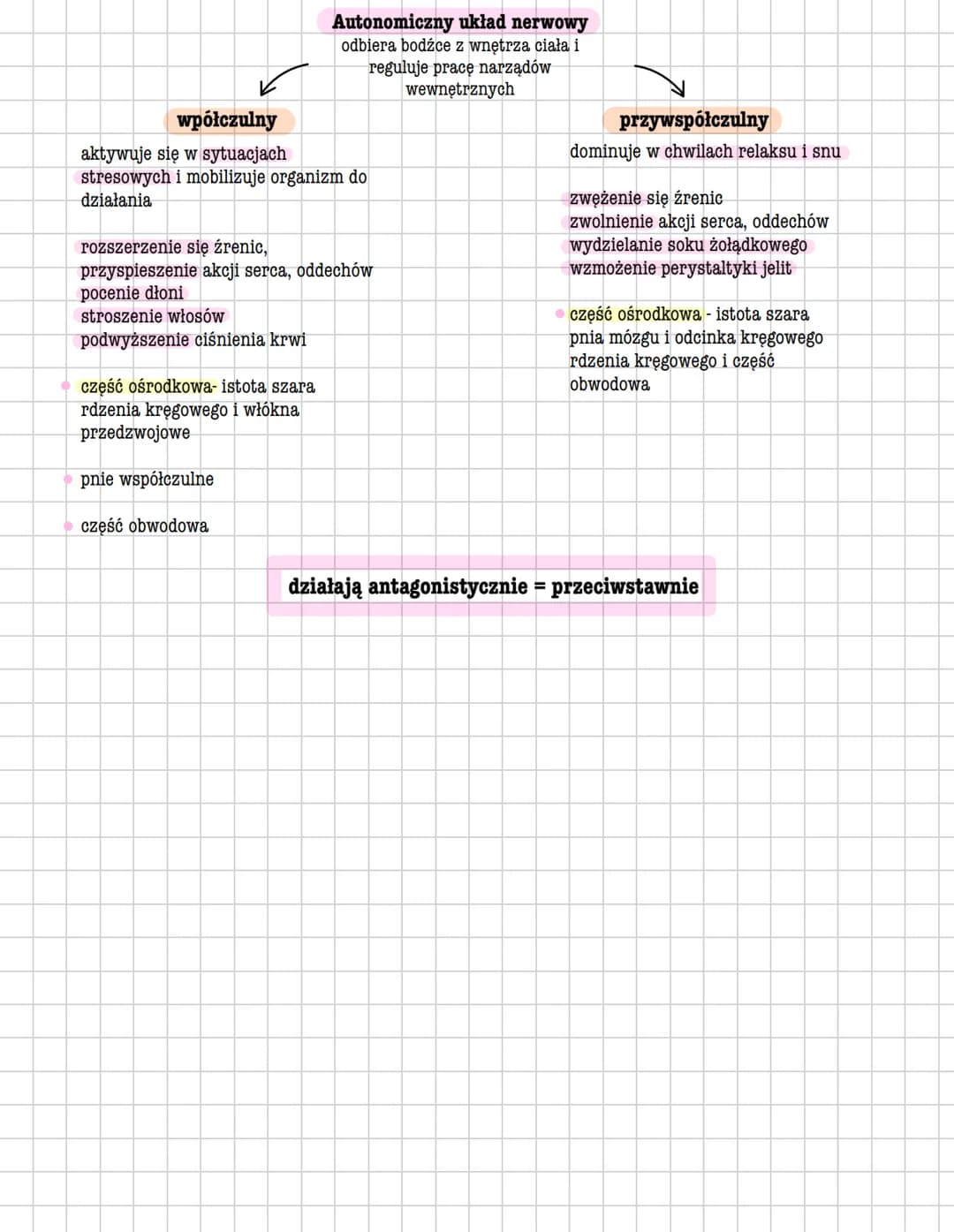 # UKŁAD NERWOWY
Ośrodkowy układ
* Mózgowie 12 par nerwów mózgowych (ochrona czaszka, opony i płyn mózgowy)
* Rdzeń kręgowy 31 par nerw