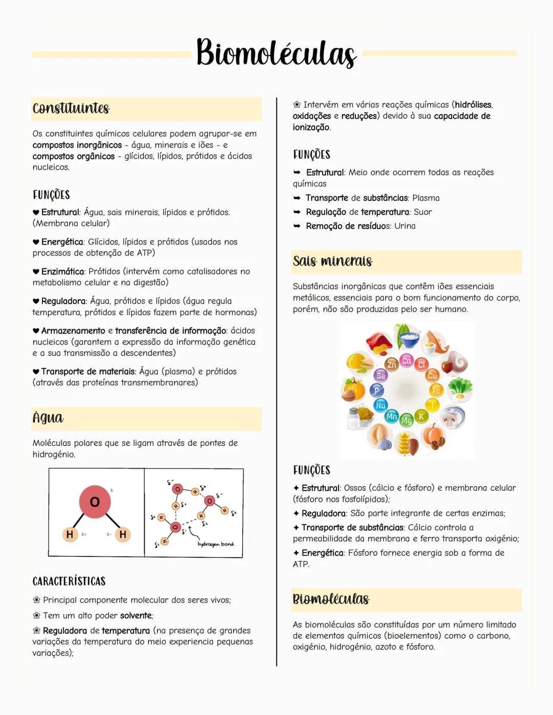 # Ecologia
Biosfera
A biosfera é um sistema que inclui todos os seres vivos, os
ambientes que habitam e as relações estabelecidas entre
ele