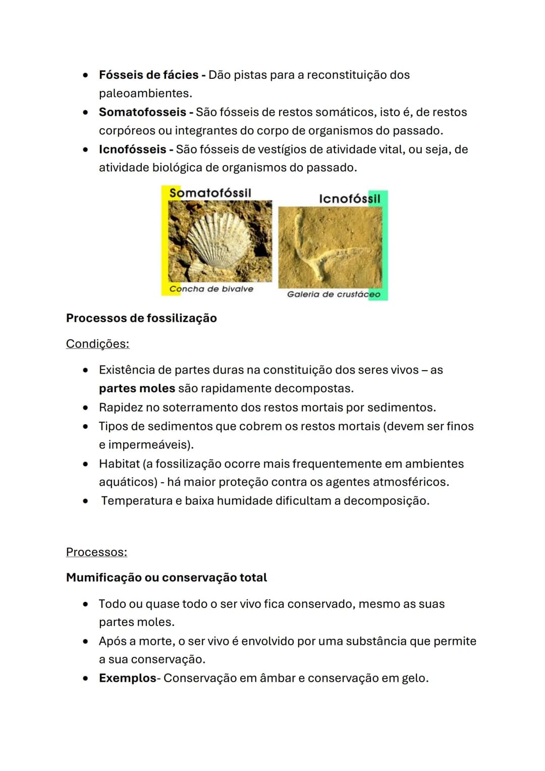 Biologia e Geologia
Geologia (10°ano)
Princípios do raciocínio geológico
Interpretação da Evolução passada na Terra
Catastrofismo
Cuvier