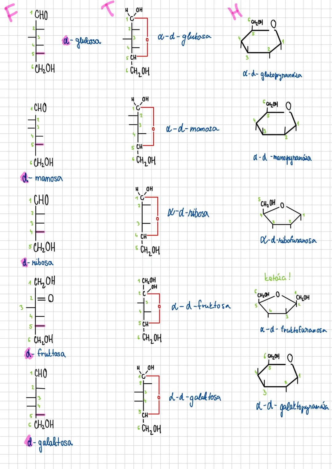 # Sacharidy
- polyhydroxysloučeniny obsahujići karbonylovou (keto/aldo) skupinu
- jejich deriváty jsou přítomny ve všech organismech:
-