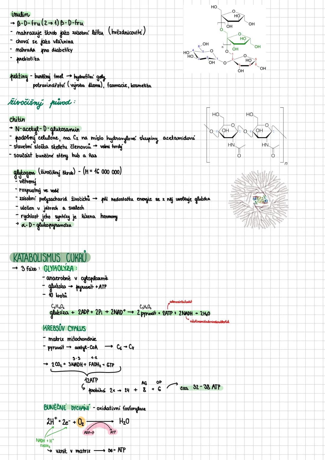# Sacharidy
- polyhydroxysloučeniny obsahujići karbonylovou (keto/aldo) skupinu
- jejich deriváty jsou přítomny ve všech organismech:
-