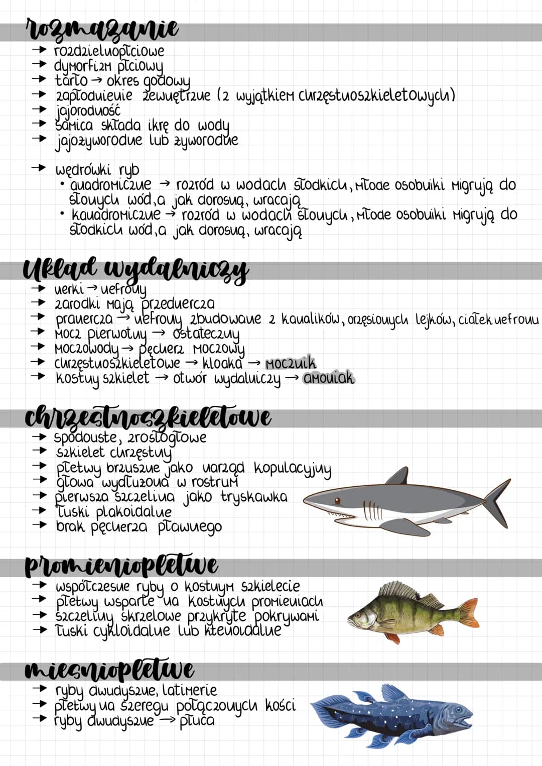 # gady
charakterystyka
→ petue przystosowanie do lądu
→wtoruie wodue lub lądowo-wodue
→ liberuują
→ z0twie, krokodyle, sfeuodouty, Tusk