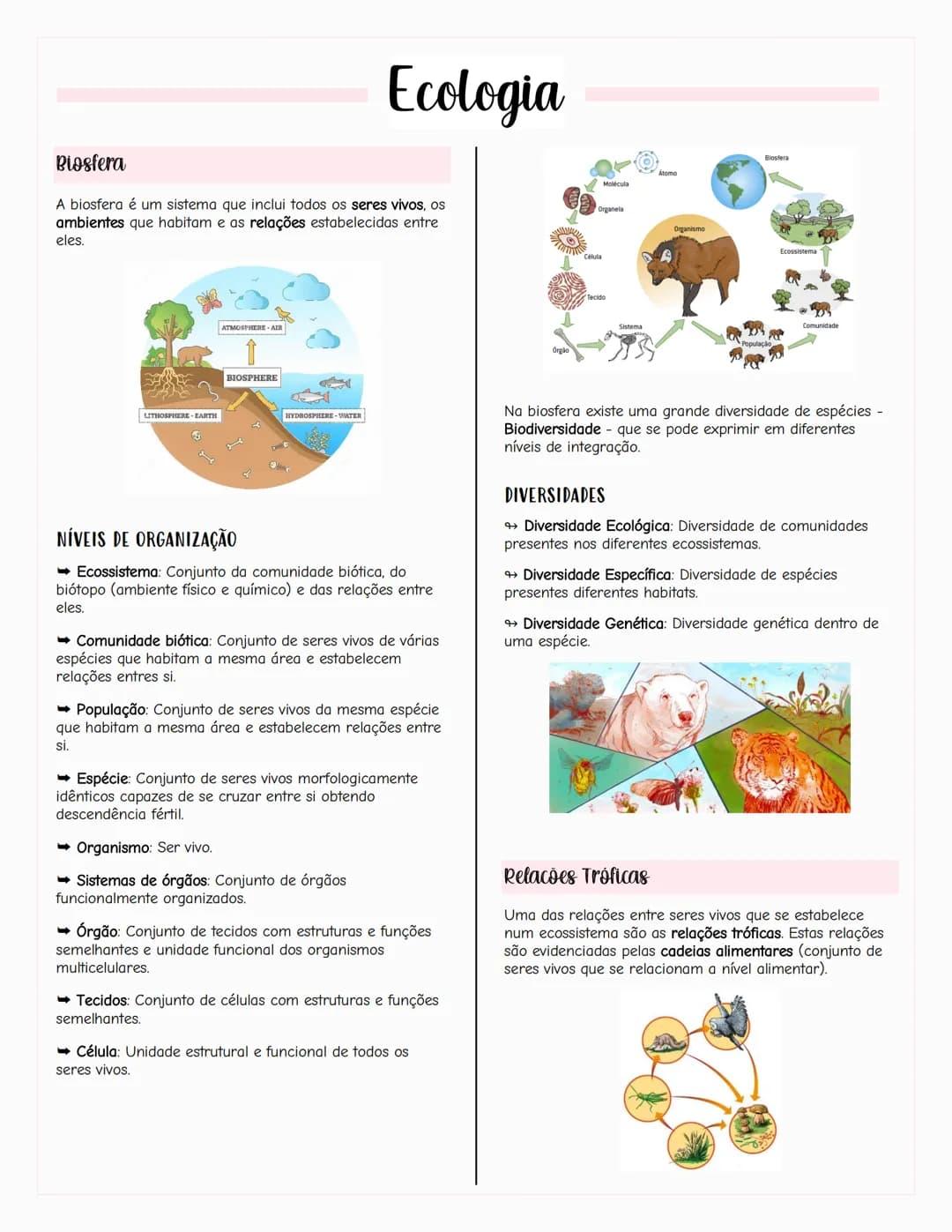 ## Ecologia
### Biosfera
A biosfera é um sistema que inclui todos os seres vivos, os
ambientes que habitam e as relações estabelecidas entr