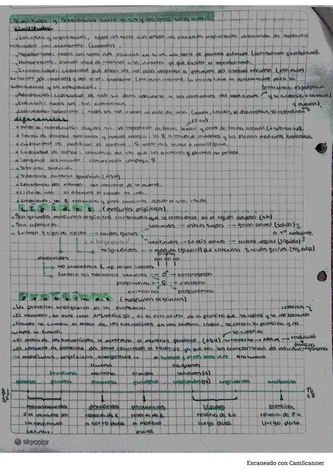 # Biologia
b
niveles de organización del cuerpo humano
* aroma nivel más brosio de agarnitución de la mereria, se combinan para factus en
