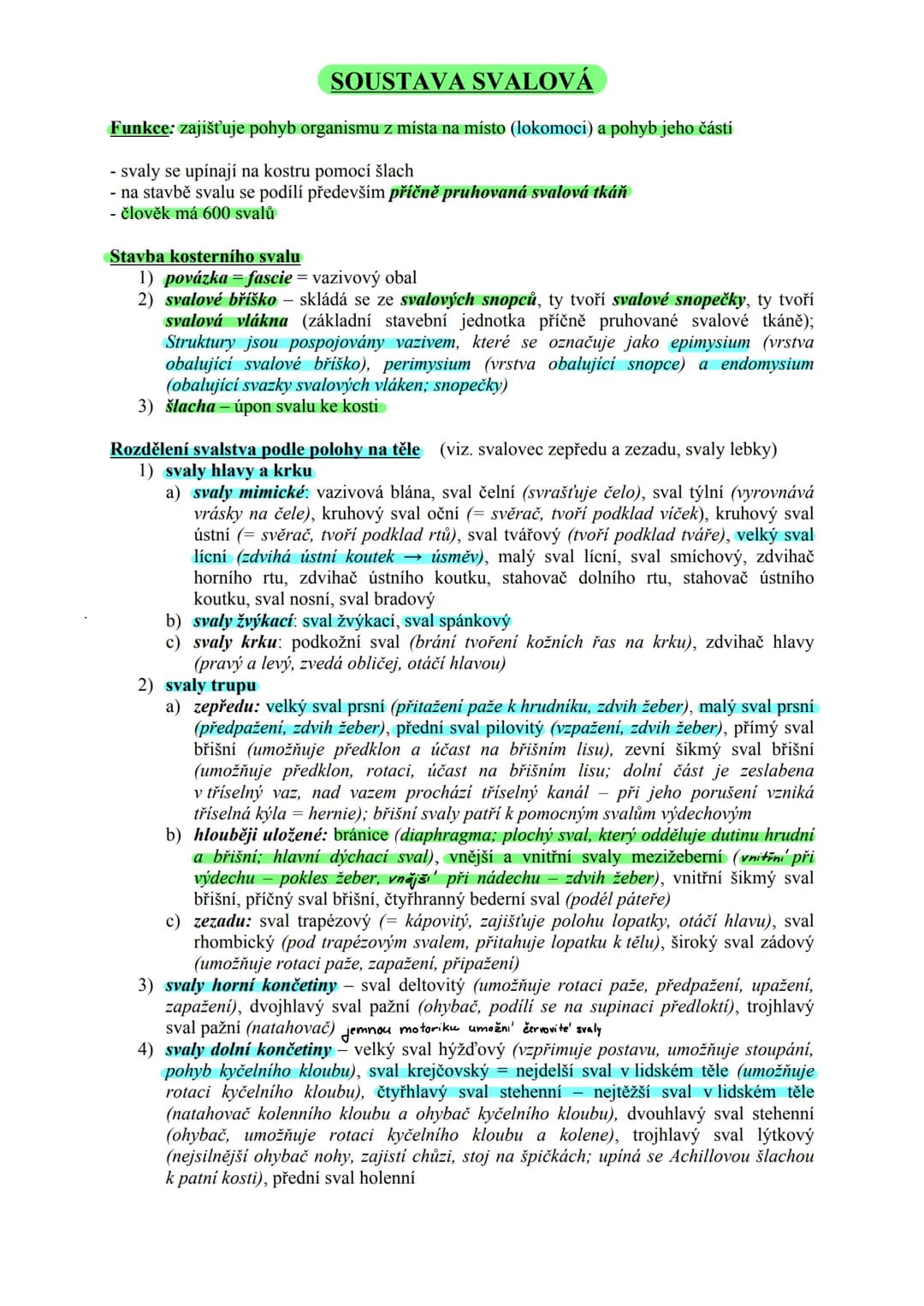 # TKÁŇ SVALOVÁ (textus muscularis) Μ.Ο. 22
Funkce:
zajišťuje pohyb organismu z místa na místo (lokomoci), pohyb částí těla
zajišťuje pohyb
