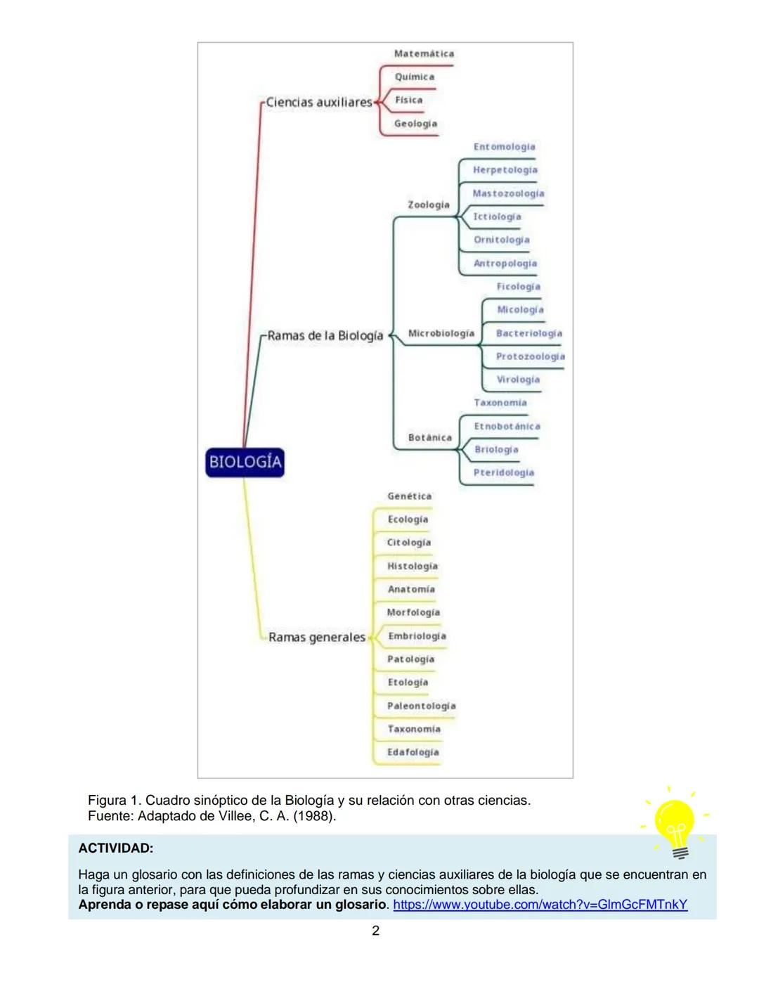 Escuela Nacional Central de Agricultura
ENCA
GUATEMALA
Fundada en 1921
TEXTO DE
APOYO
CIENCIAS
NATURALES
6665-1345 ext. 212
5711-3603
ad