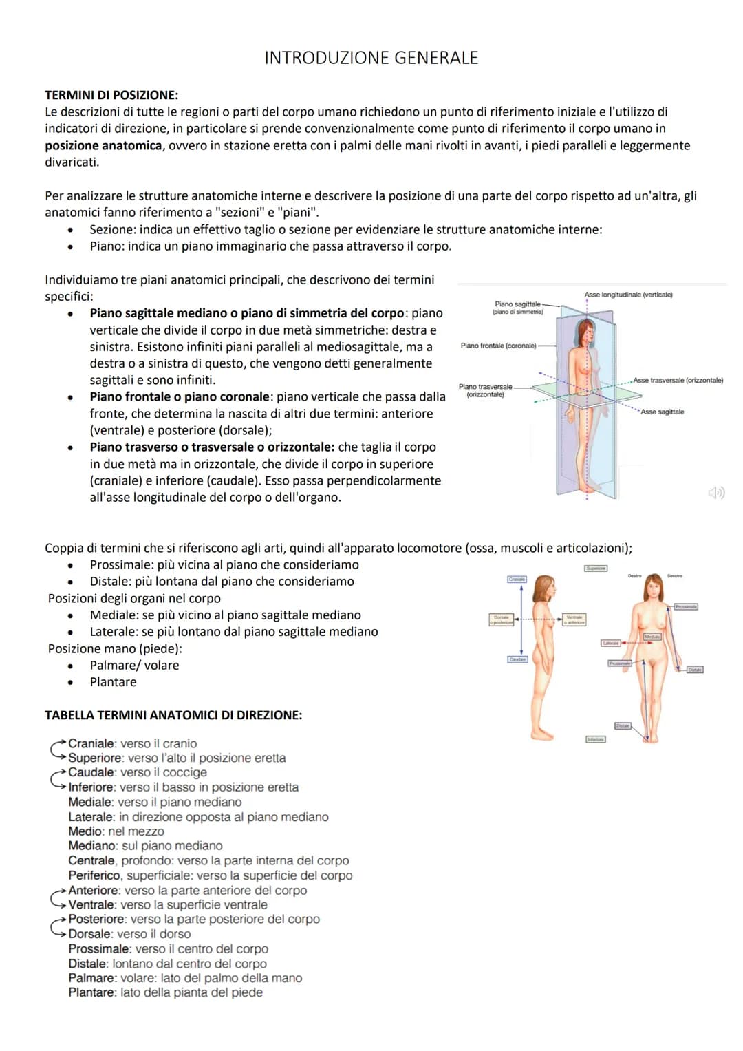 INTRODUZIONE GENERALE
TERMINI DI POSIZIONE:
Le descrizioni di tutte le regioni o parti del corpo umano richiedono un punto di riferimento in