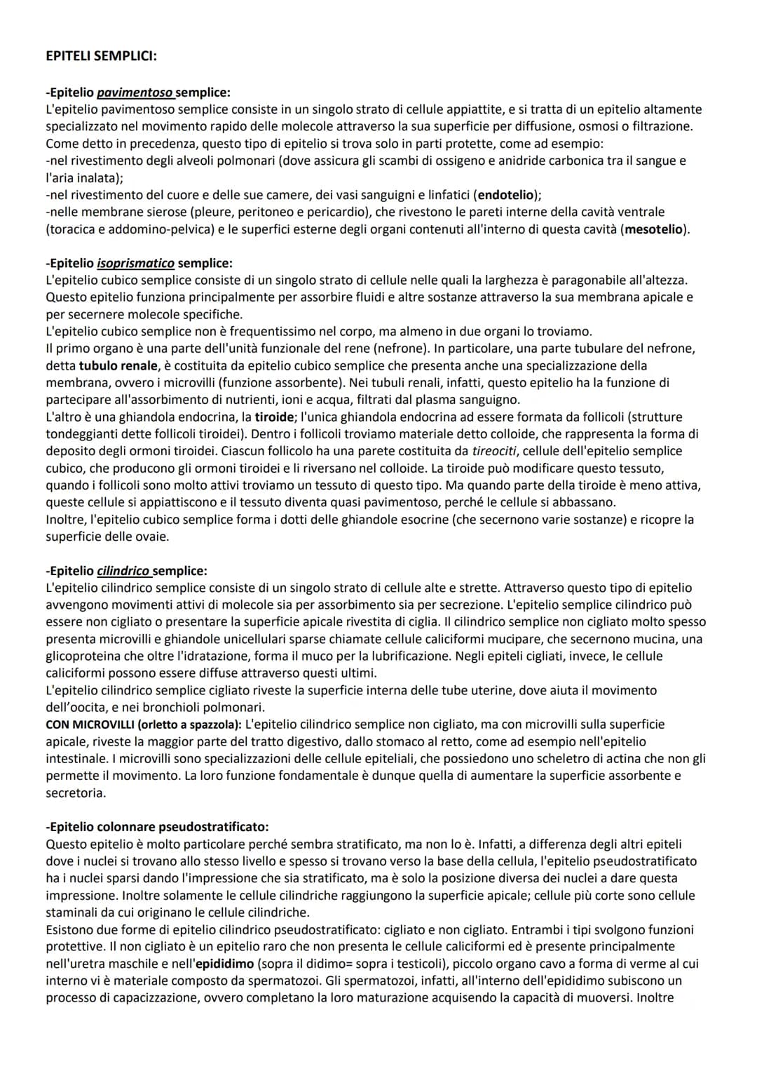 INTRODUZIONE GENERALE
TERMINI DI POSIZIONE:
Le descrizioni di tutte le regioni o parti del corpo umano richiedono un punto di riferimento in
