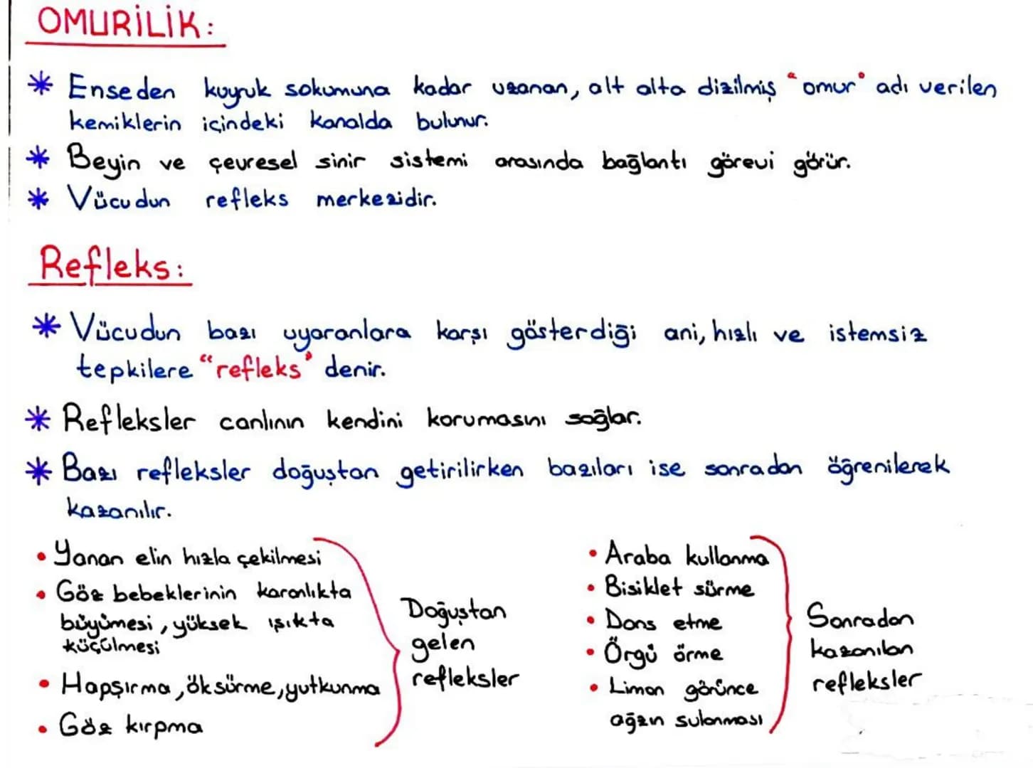 b) Gevresel Sinir Sistemi:
*Merkezi sinir sistemi dışındaki tüm sinirler çevresel sinir sistemini
oluşturur.
* Çevresel sinir sistemi beyi