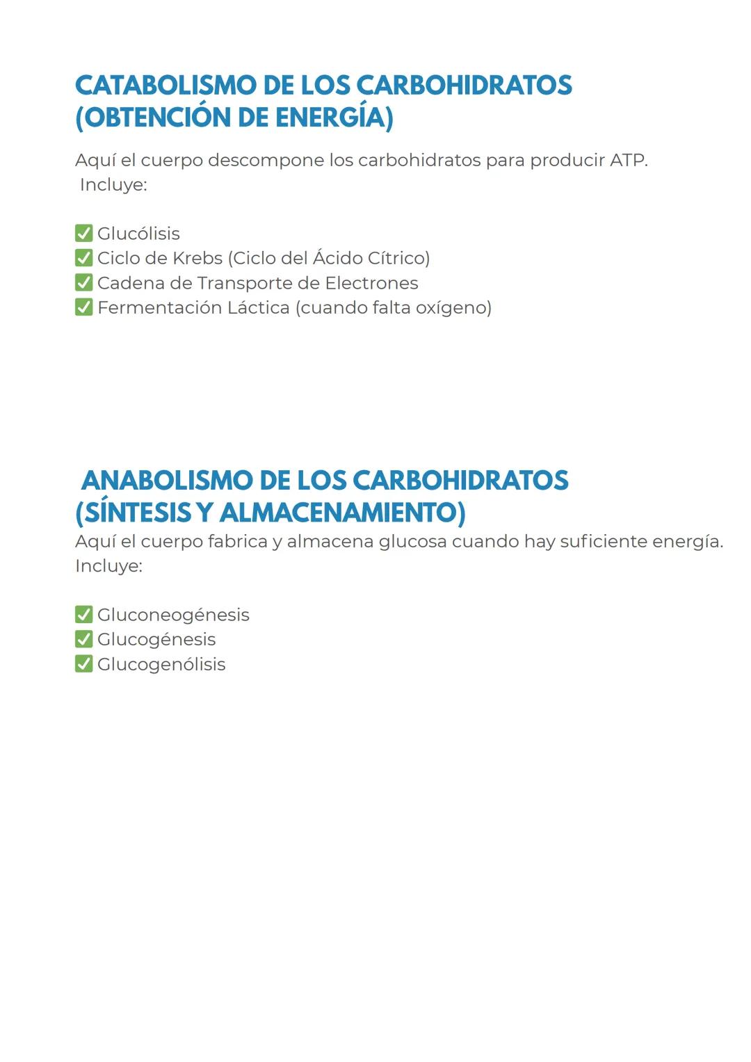 # CONCEPTOS PREVIOS
# MITOCONDRIAS
En primer lugar para dominar perfectamente este
tema, repasemos rapidamente las mitocondrias
Las mitoc