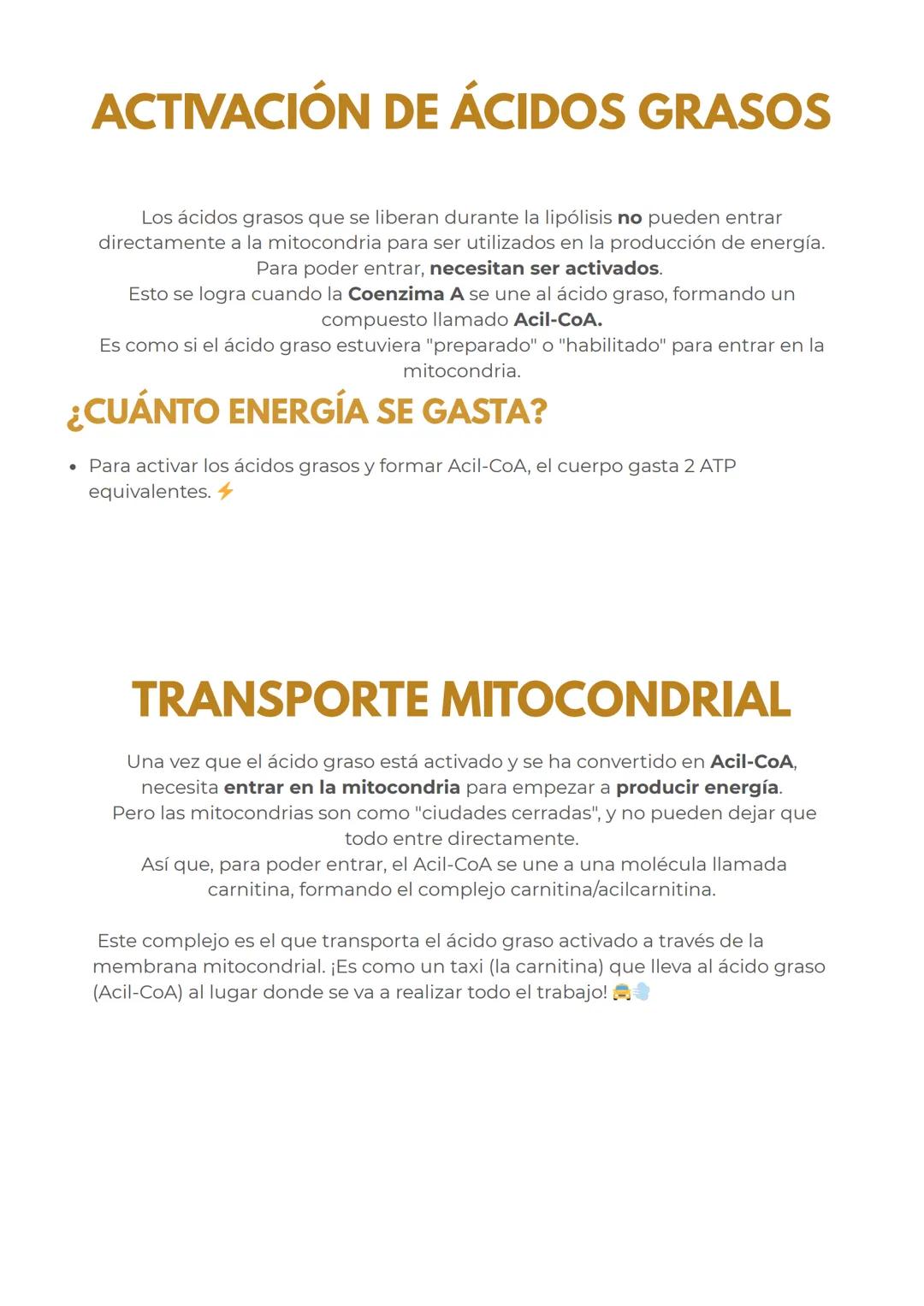 # METABOLISMO DE LOS
LIPIDOS
## LÍPIDOS:
CARACTERÍSTICAS GENERALES
Los lípidos son biomoléculas hidrofóbicas o anfipáticas insolubles en a