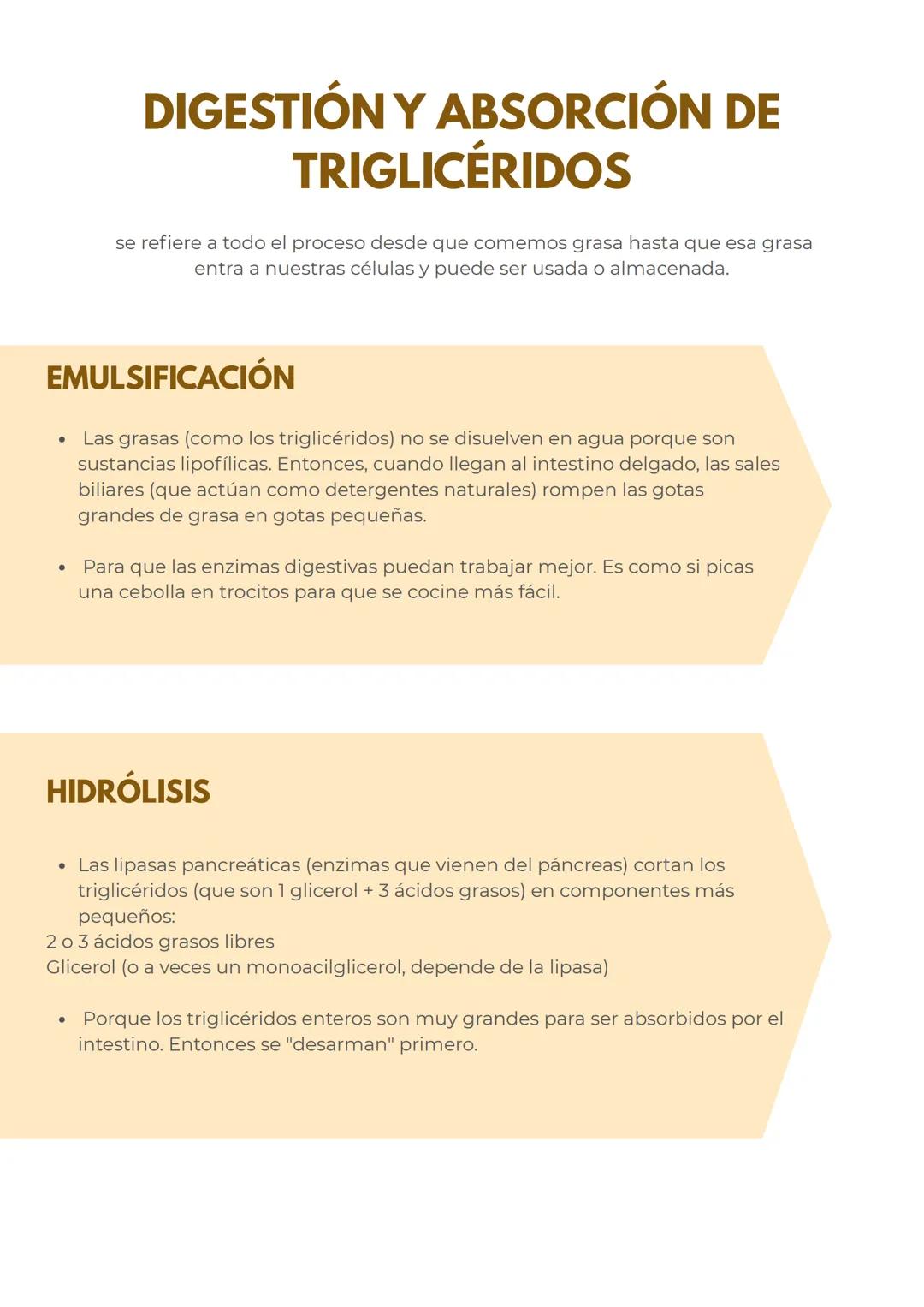 # METABOLISMO DE LOS
LIPIDOS
## LÍPIDOS:
CARACTERÍSTICAS GENERALES
Los lípidos son biomoléculas hidrofóbicas o anfipáticas insolubles en a