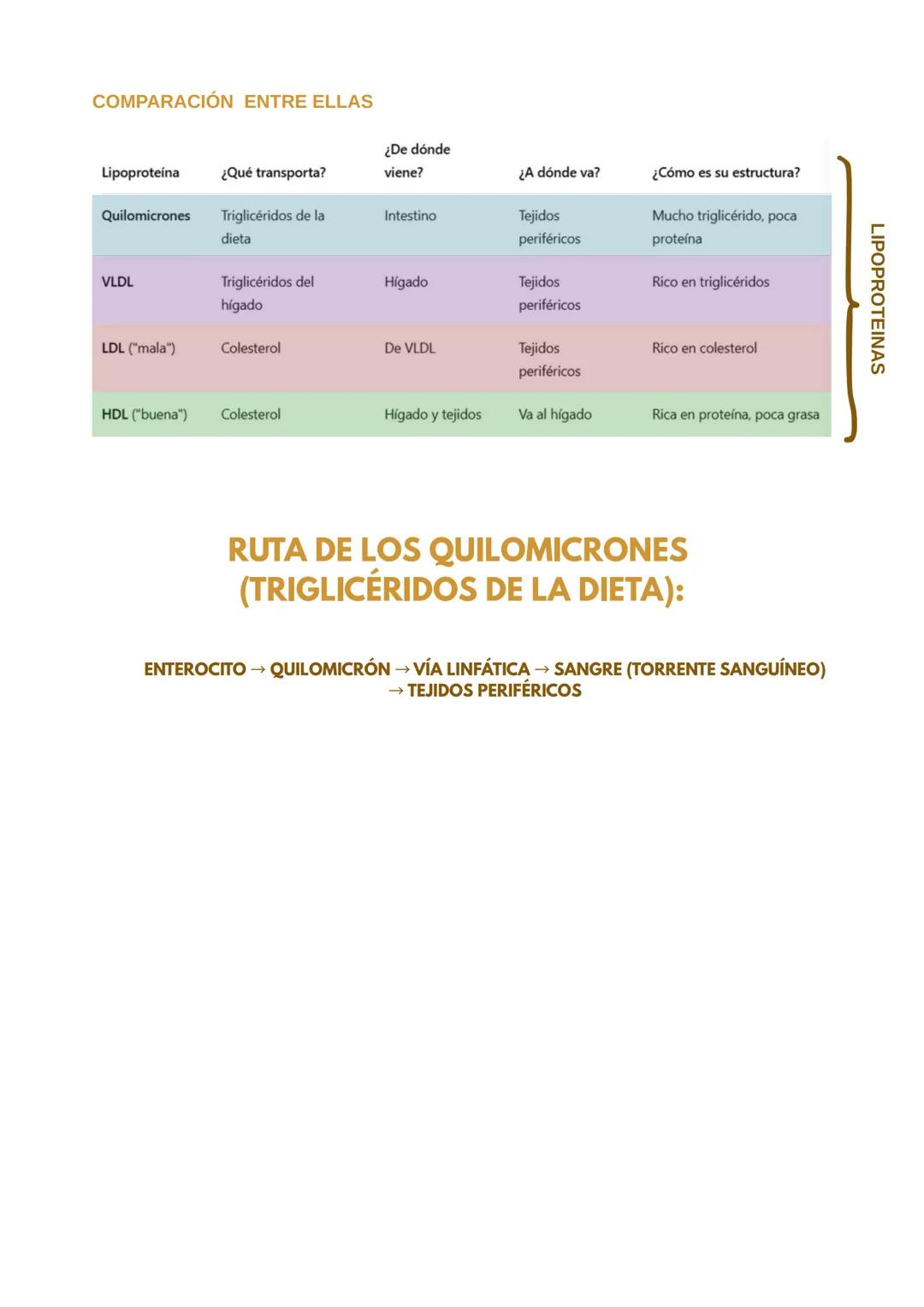 # METABOLISMO DE LOS
LIPIDOS
## LÍPIDOS:
CARACTERÍSTICAS GENERALES
Los lípidos son biomoléculas hidrofóbicas o anfipáticas insolubles en a