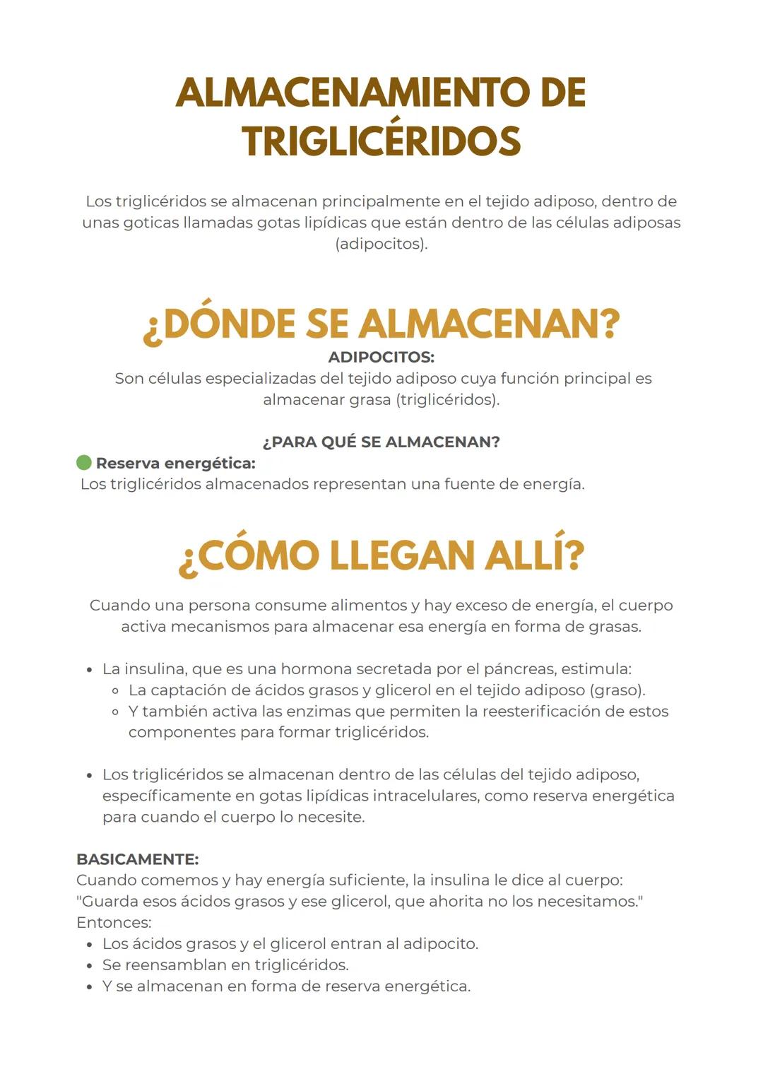 # METABOLISMO DE LOS
LIPIDOS
## LÍPIDOS:
CARACTERÍSTICAS GENERALES
Los lípidos son biomoléculas hidrofóbicas o anfipáticas insolubles en a
