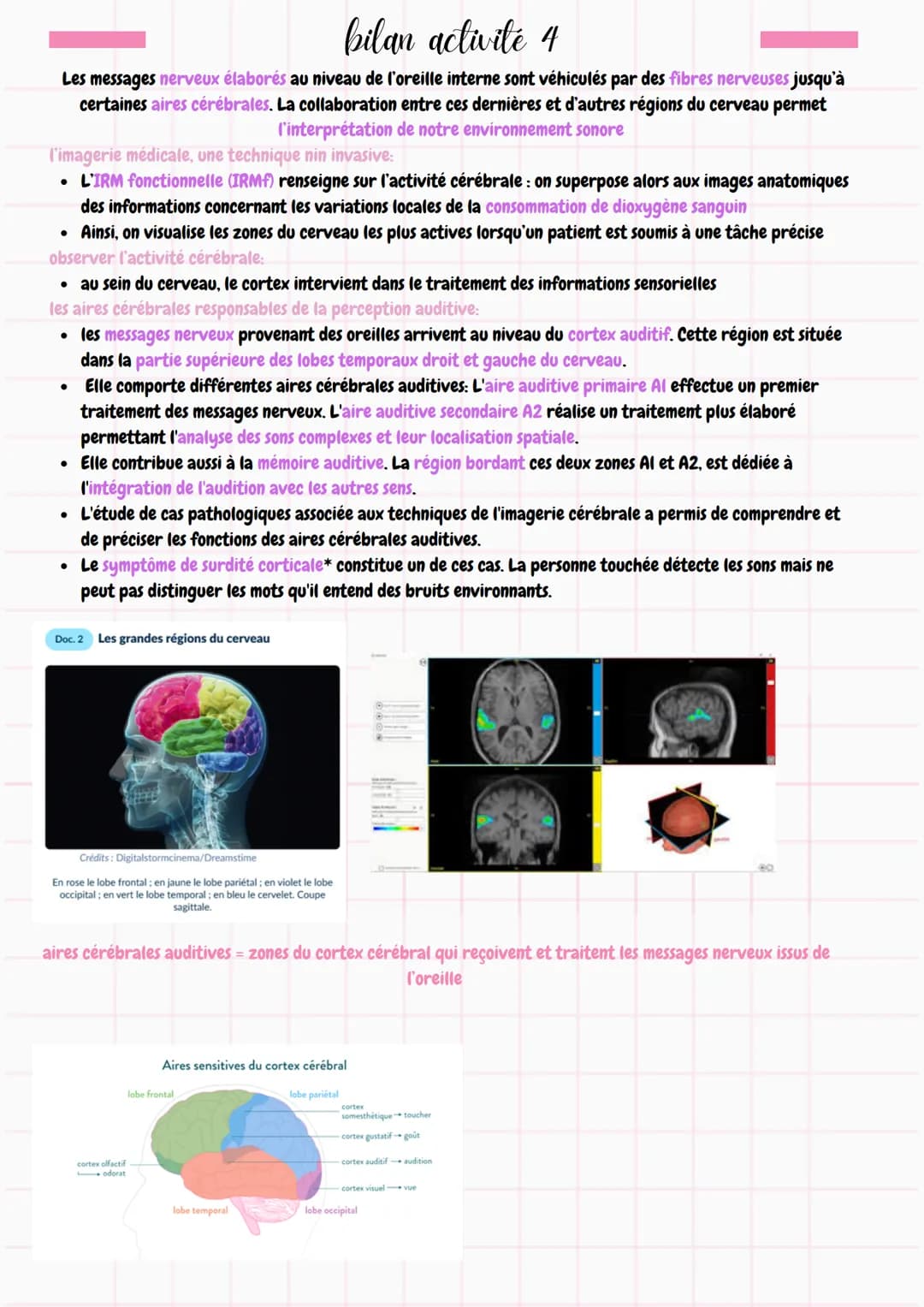 Π
chapitre 4
entendre la musique
bilan activité 1
l'oreille = organe complexe, organisé en 3 régions distinctes assurant différentes fonctio