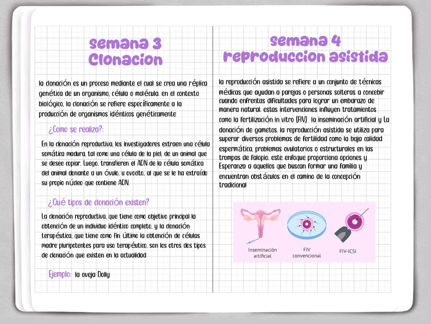 Sweet
Sweet Semana 1
Modificacion Genetica
la modificación genética, también conocida como ingeniería
genética o modificación genética, es