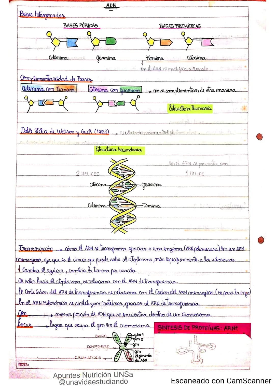 Introducción CLASE 1
ΑΝΑΤΟΜΙΑ 2020
y fisiologia
POSICION
ANATOMICA
Anatomia : Gencia que estudia las estructuras corporales y las relaciones