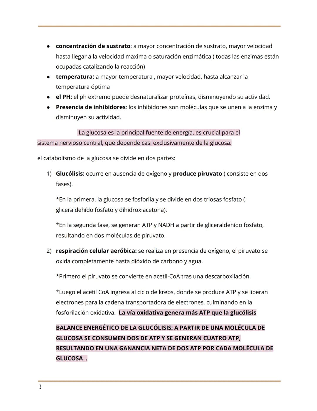 --- OCR Start ---
metabolismo y ciclo de krebs...
by Julieta Ibalo @_.juuulieta
METABOLISMO
*EL METABOLISMO COMPRENDE TODAS LAS REACCIONES Q