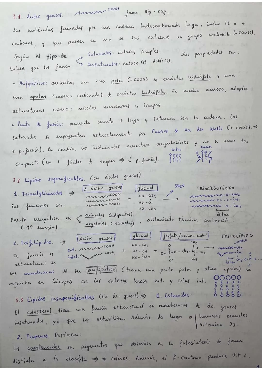 ## RESÚMENES PAU BIOLOGÍA.
## BLOQUE 1: Bioquímica.
1. **Bioelementos:** son elementos químicos que forman parte de la materia viva.
La un
