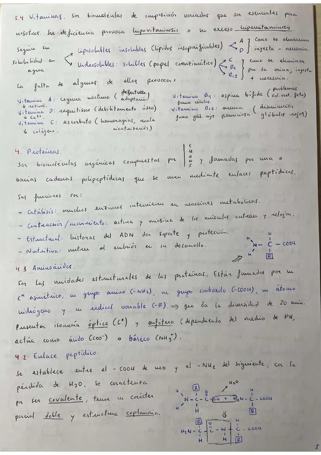 ## RESÚMENES PAU BIOLOGÍA.
## BLOQUE 1: Bioquímica.
1. **Bioelementos:** son elementos químicos que forman parte de la materia viva.
La un