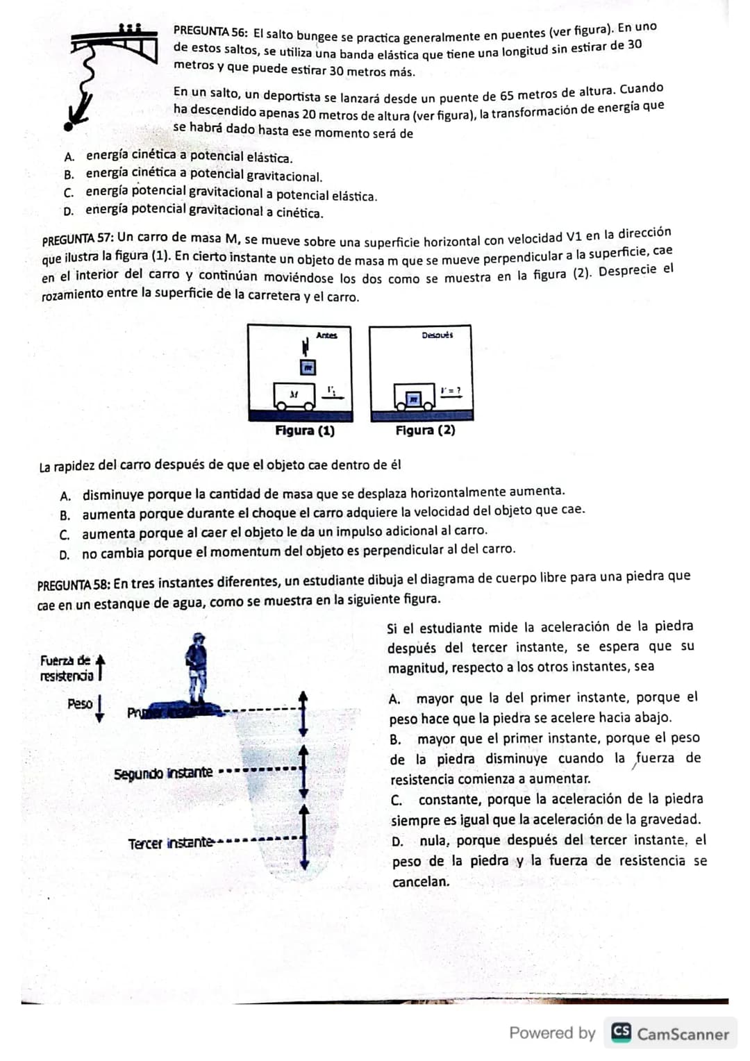 PREGUNTA 47: A continuación, se muestra un modelo que simboliza la distribución
de las moléculas de agua en estado líquido, en un recipiente
