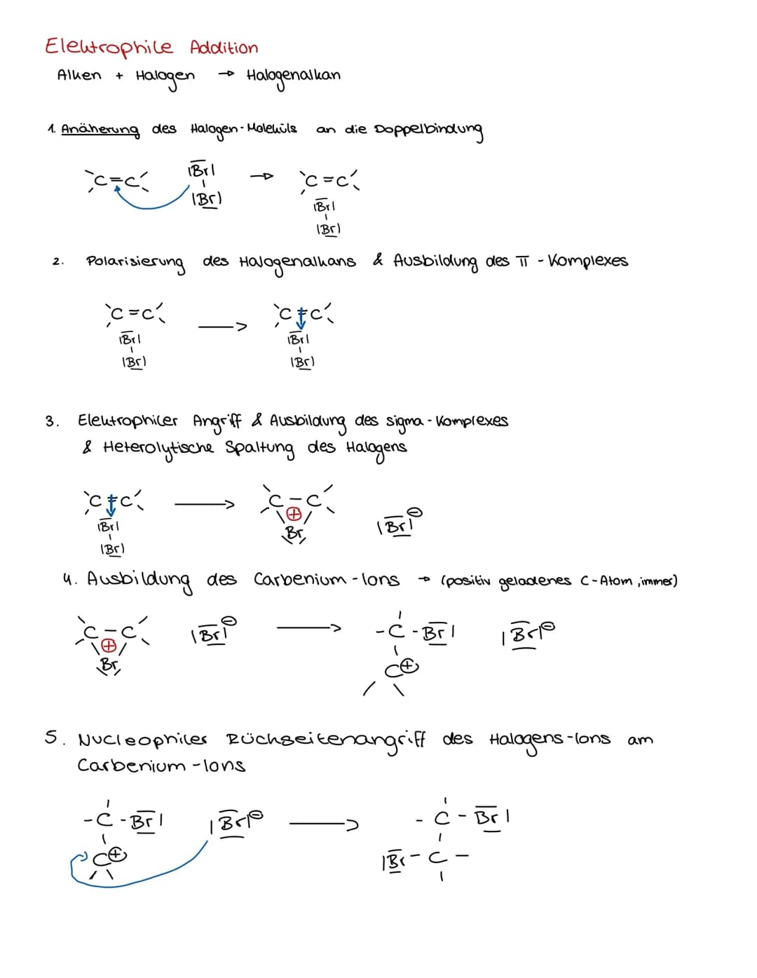 Grundlagen
Bohrsches Atommodell (/ veraltet)
Periodensystem der Elemente
Ordnungs-
Protonen
Elektronen
Elementen-
Symbol
Elementen-
name
12