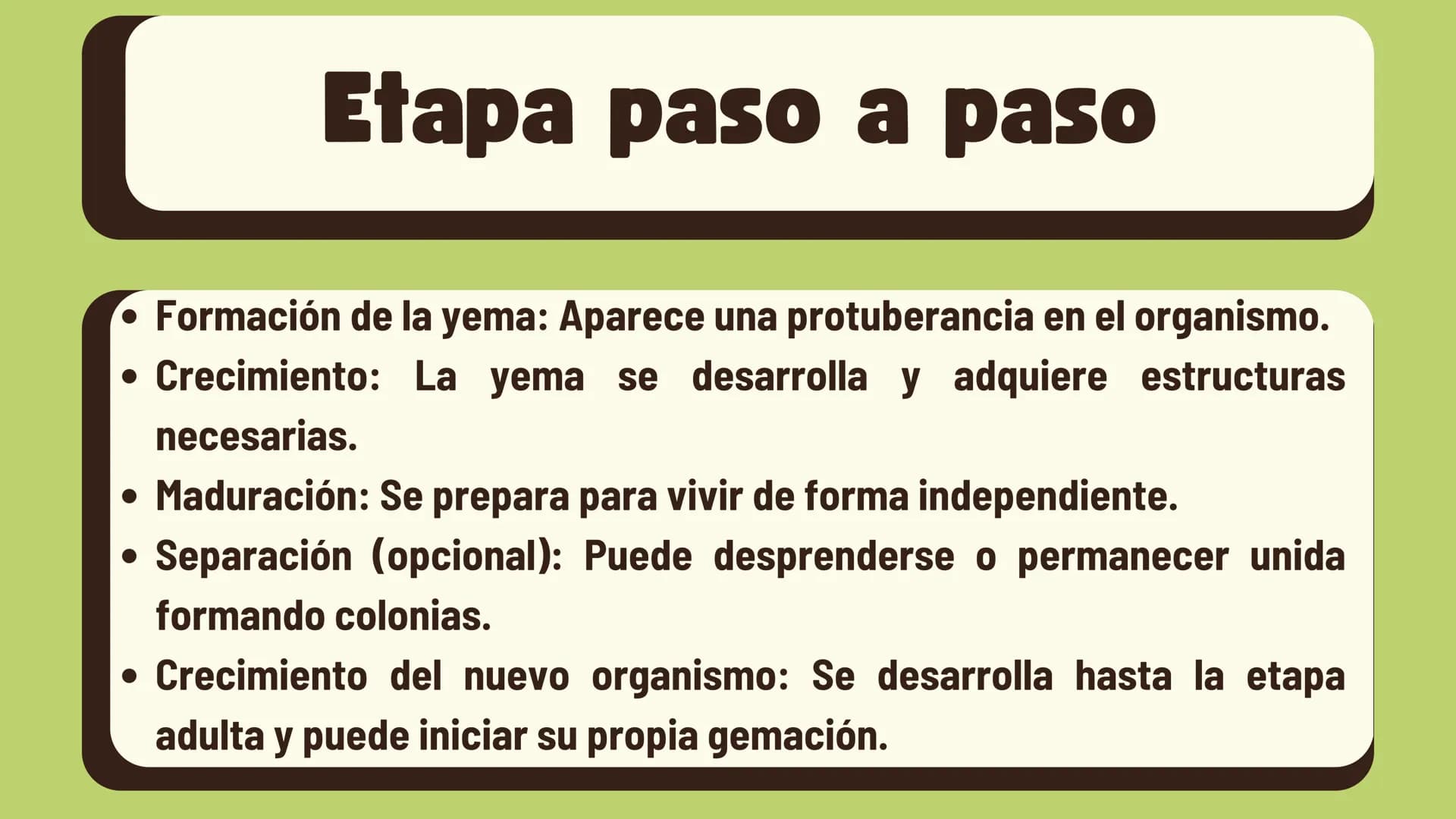 # Gemación Que es la Gemación
La gemación es un tipo de
reproducción asexual en la que
un nuevo organismo se forma a
partir de una protubera