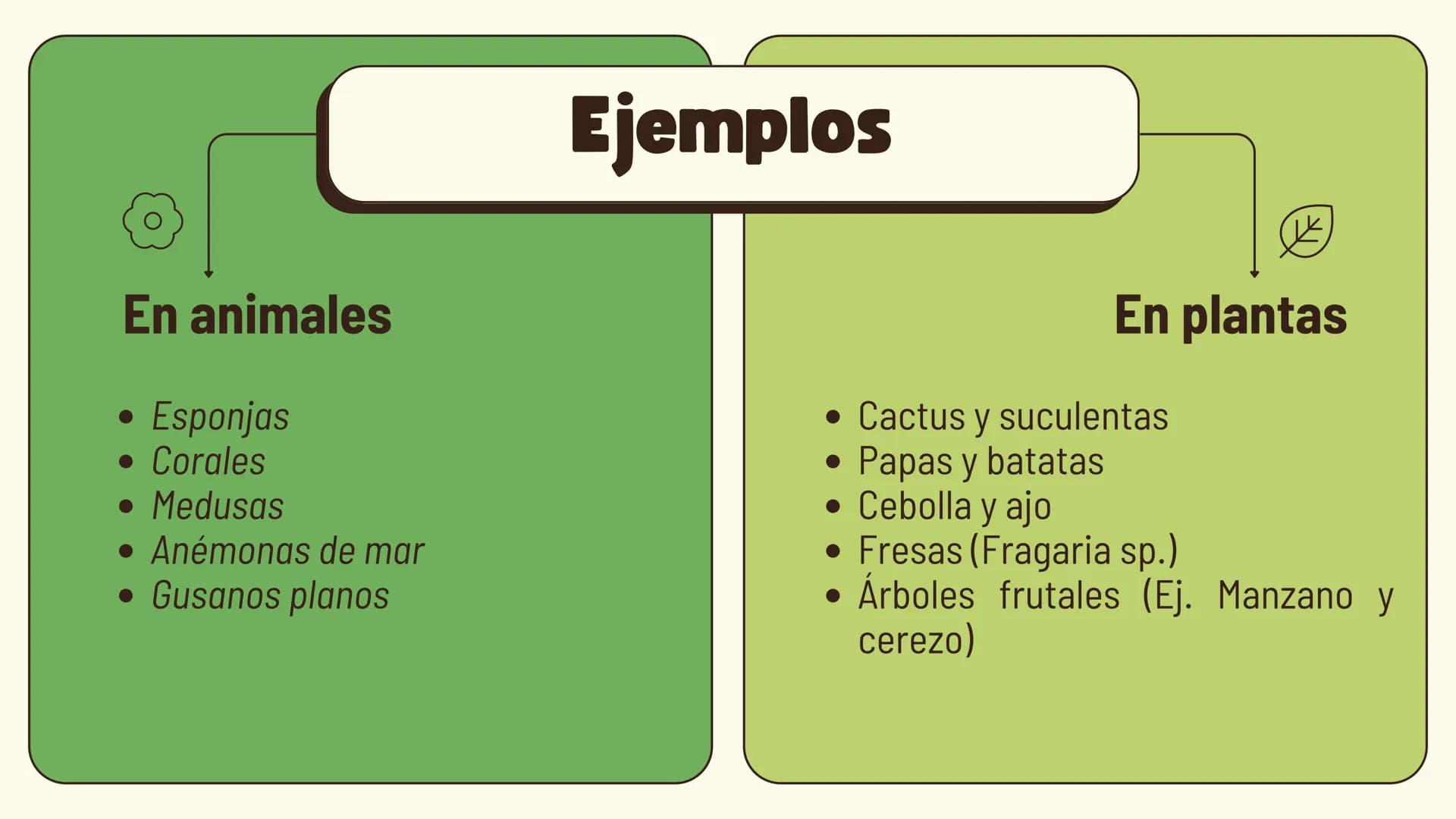 # Gemación Que es la Gemación
La gemación es un tipo de
reproducción asexual en la que
un nuevo organismo se forma a
partir de una protubera