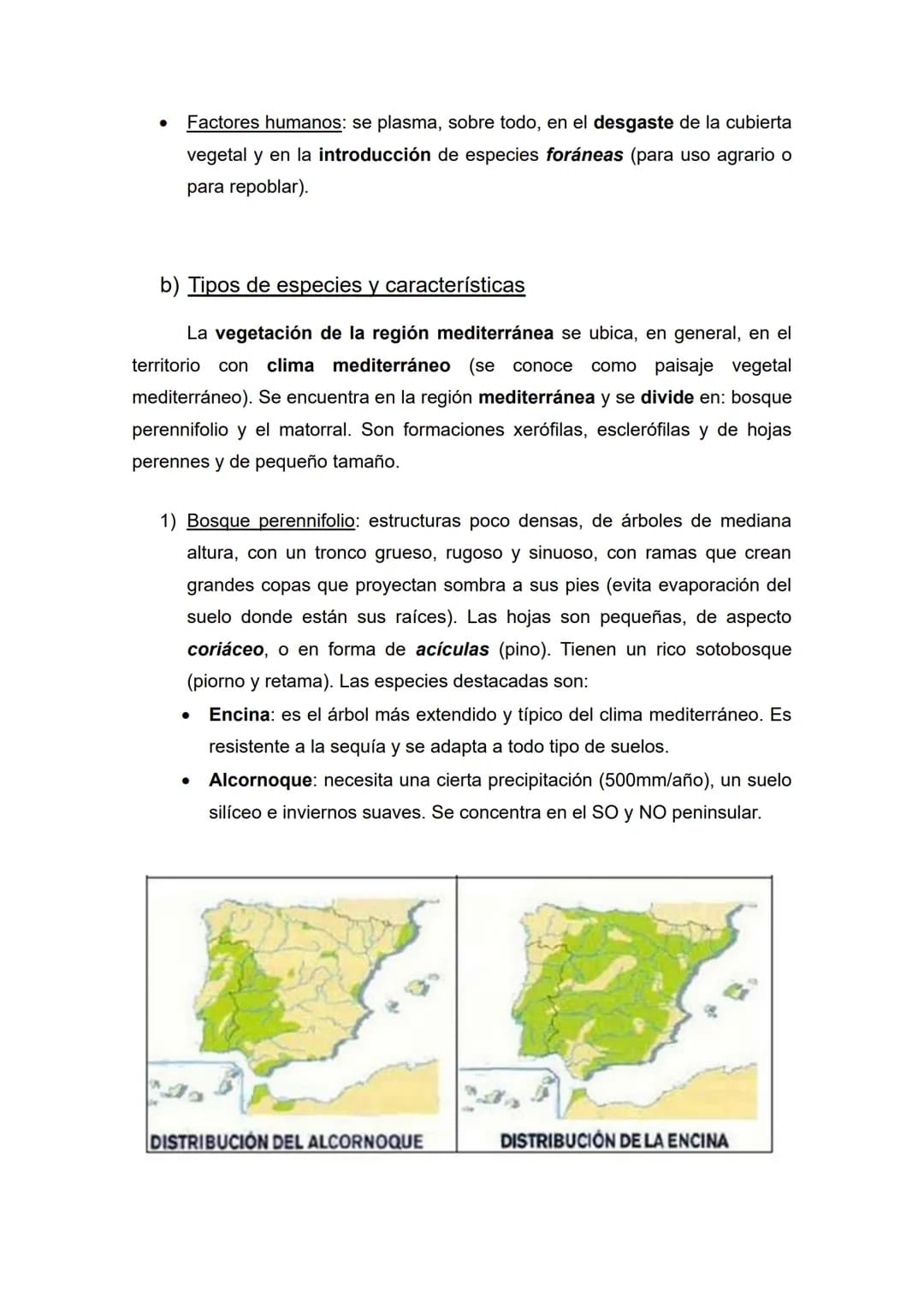 Tema 4 - La vegetación y los suelos
• Temas (1, 2) y epígrafes (a, b, c) que nos pueden preguntar:
1) Formaciones vegetales de España: veget
