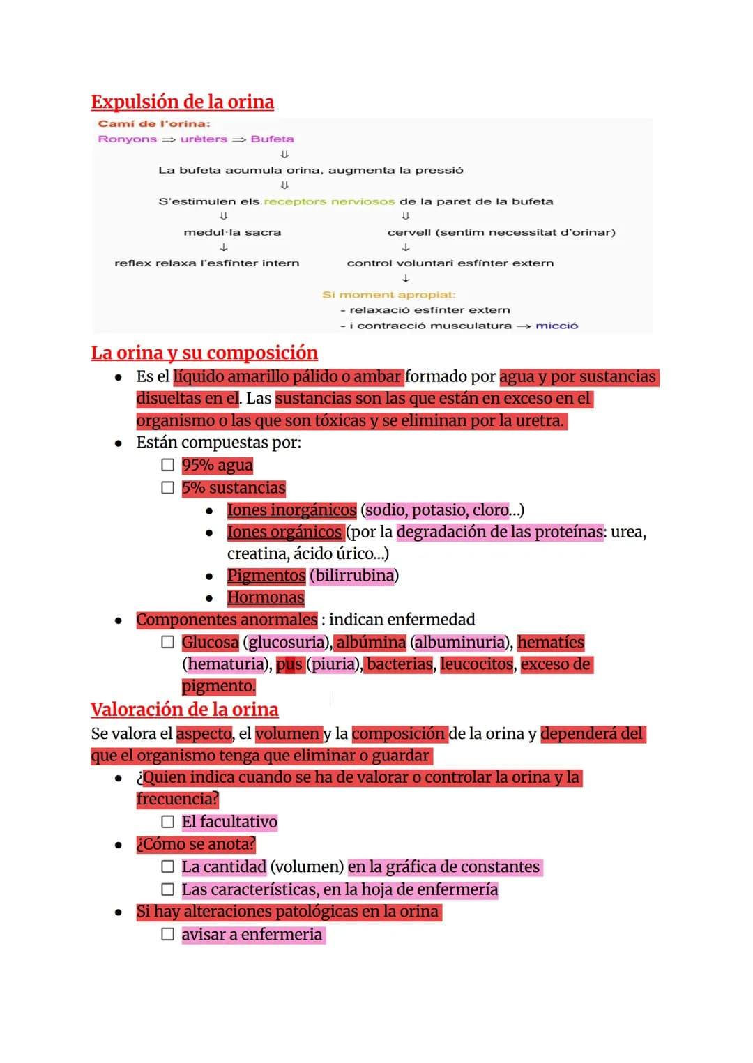Aparato urinario
Excecció
• Es la eliminación / expulsión de las sustancias que no son útiles o que
son tóxicas para nuestro organismo
• Las