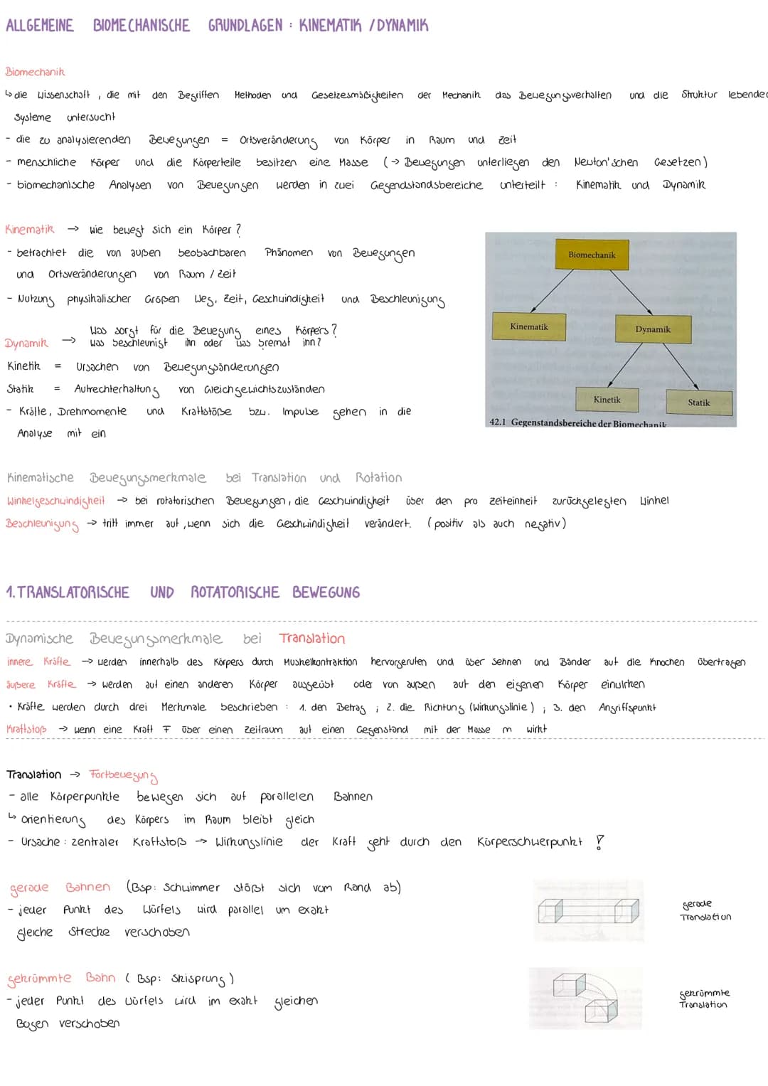 # ALLGEMEINE BIOMECHANISCHE GRUNDLAGEN : KINEMATIK / DYNAMIK
**Biomechanik**
- die Wissenschaft, die mit den Begriffen, Methoden und Gesetz