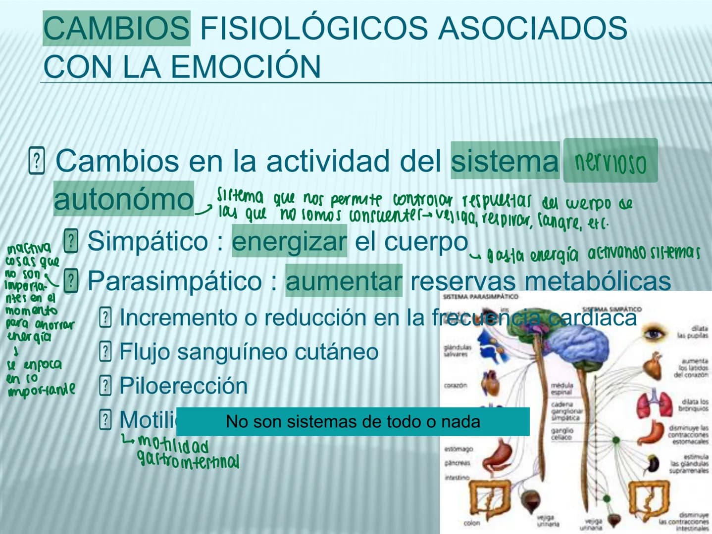 # cerebro
# corazon
# FIGHT!
# NEUROPSICOLOGIA DE LA EMOCION
Adriana M. Martínez M.
25-11-04 GENERALIDADES
? Tiemblo porque tengo miedo