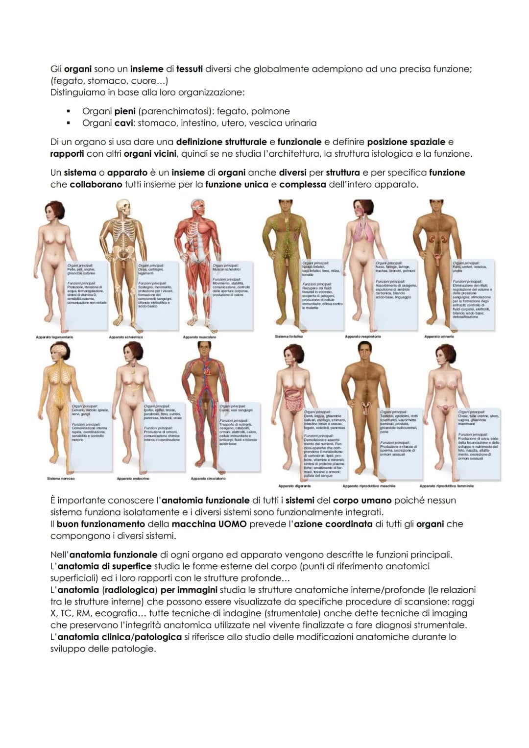 # ANATOMIA UMANA
## INTRODUZIONE
L'anatomia studia la morfologia (la struttura macro e microscopica) del corpo umano e delle sue parti e i