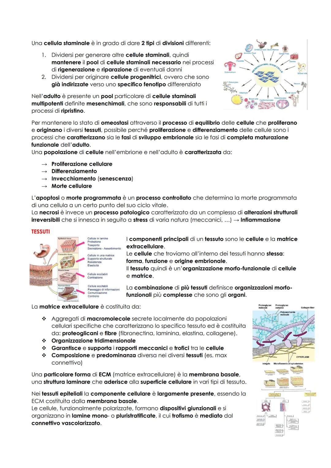 # ANATOMIA UMANA
## INTRODUZIONE
L'anatomia studia la morfologia (la struttura macro e microscopica) del corpo umano e delle sue parti e i