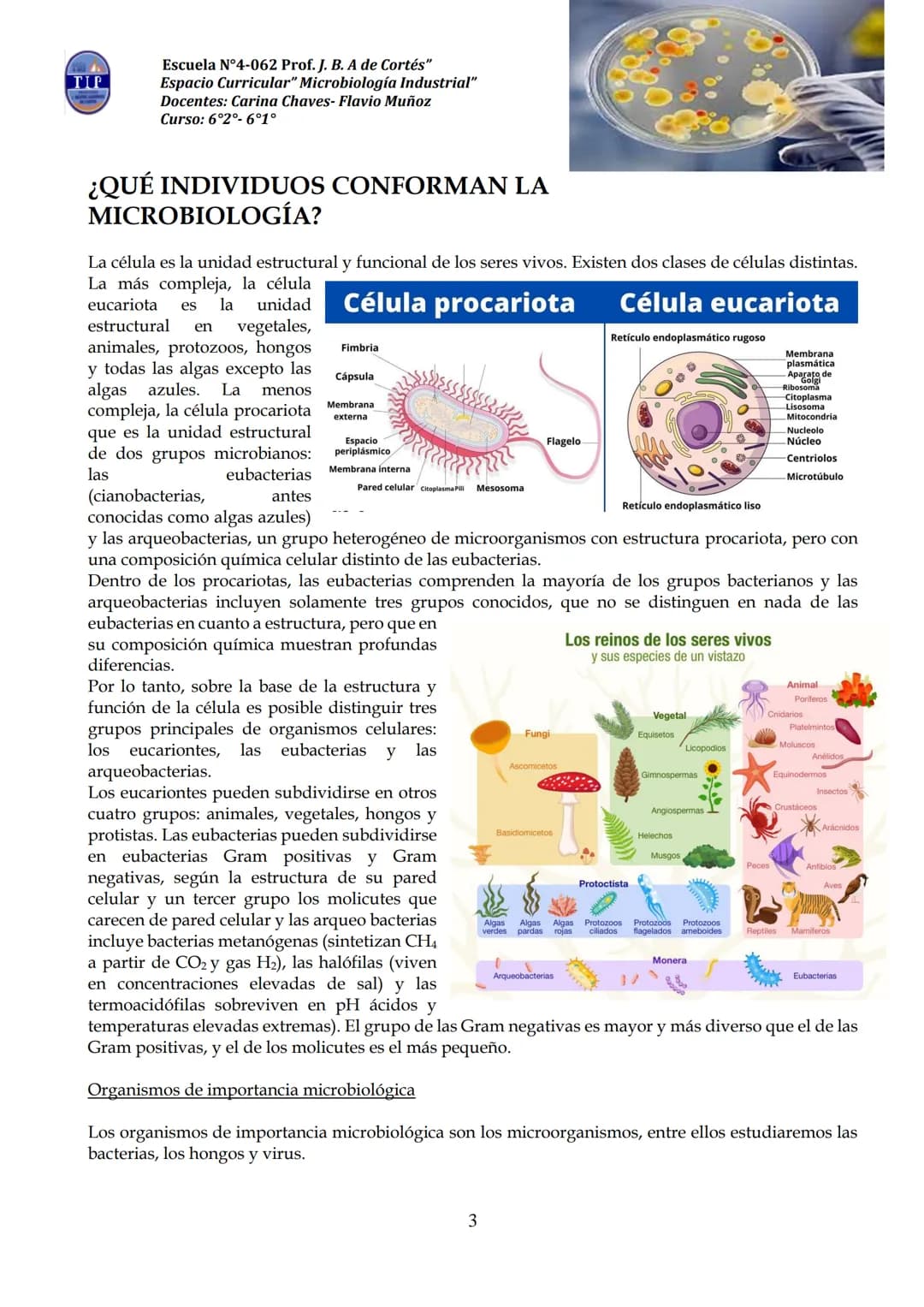 # CUADERNILLO DE
# MICROBIOLOGIA
# INDUSTRIAL
Nombre:
Curso:
Escuela: N°4062 Juana B. Albornoz de Cortes
Profesores: Carina Chaves- Flavio