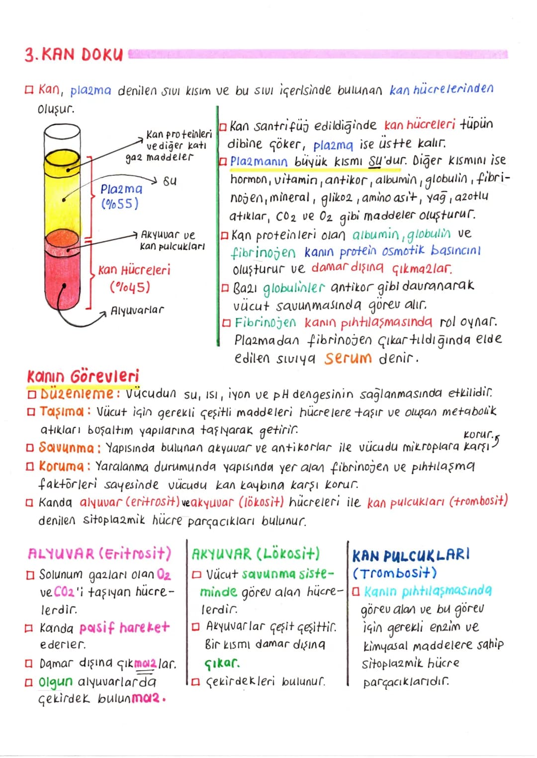--- OCR Start ---
DOLAŞIM SİSTEMİ
Dolaşım sistemi sayesinde, doku ve organlara gerekli oksijen ve besin
taşınırken, ayrıca bu yapılardan atı