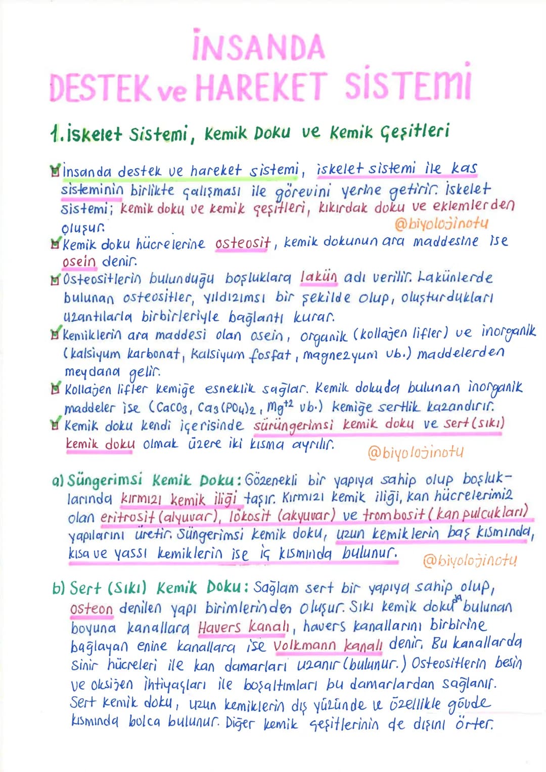 İNSANDA
DESTEK ve HAREKET SİSTEMİ
1. İskelet Sistemi, Kemik Doku ve Kemik Çeşitleri
İnsanda destek ve hareket sistemi, iskelet sistemi ile k