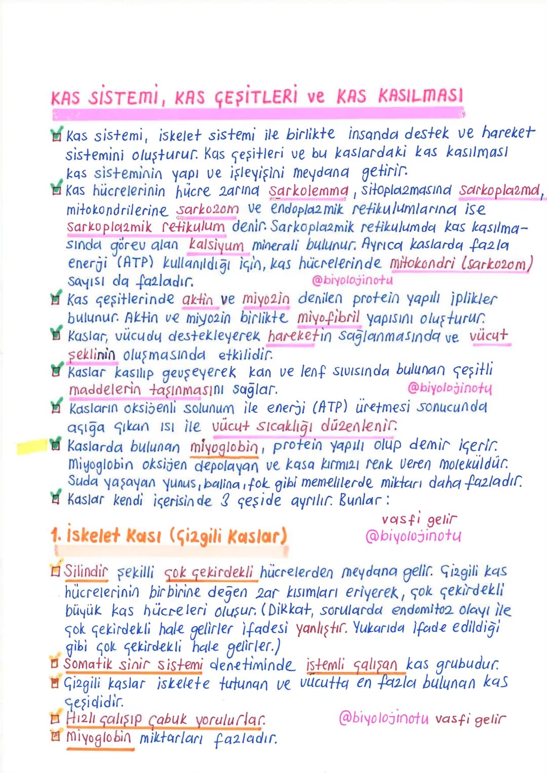 İNSANDA
DESTEK ve HAREKET SİSTEMİ
1. İskelet Sistemi, Kemik Doku ve Kemik Çeşitleri
İnsanda destek ve hareket sistemi, iskelet sistemi ile k