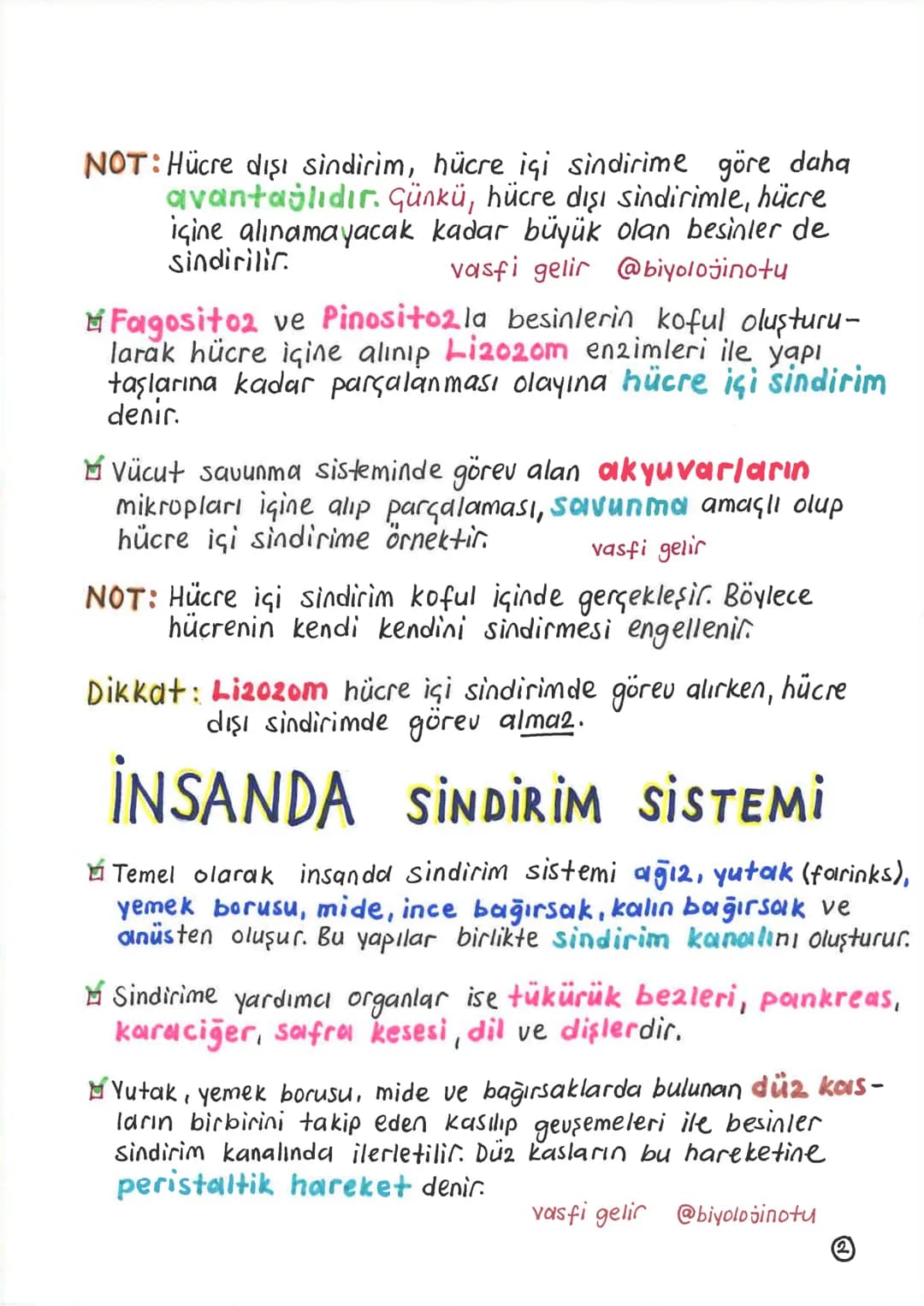 SİNDİRİM SİSTEMİ
Alınan besinlerin hücre zarından geçebilecek kadar
küçük maddelere parçalanması olayına sindirim denir.
Sindirim olayı, mek
