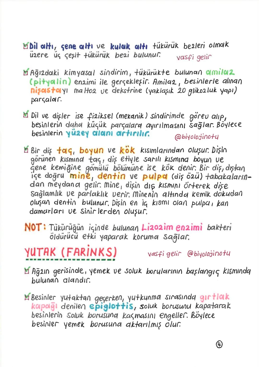 SİNDİRİM SİSTEMİ
Alınan besinlerin hücre zarından geçebilecek kadar
küçük maddelere parçalanması olayına sindirim denir.
Sindirim olayı, mek