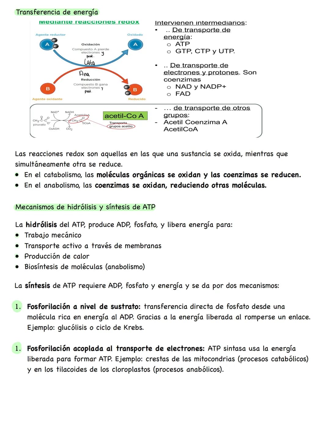 # Metabolismo
**Conceptos**
* **Metabolismo:** conjunto de reacciones químicas que se producen en el interior celular. Su función es obten